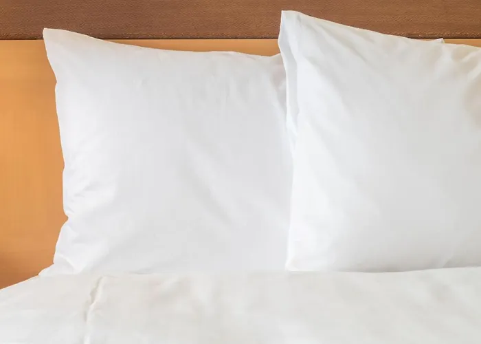 - - Hauptbahnhof By Ihg Hotel